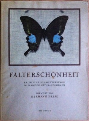 Falterschönheit. Exotische Schmetterlinge in farbigen Naturaufnahmen