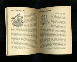 gebrauchtes Buch – Bezirksvorstand Dresden des Verbandes der Journalisten der DDR – Ratgeber Zimmerpflanzen - Tips aus zweiter Hand ° DDR Solidarität