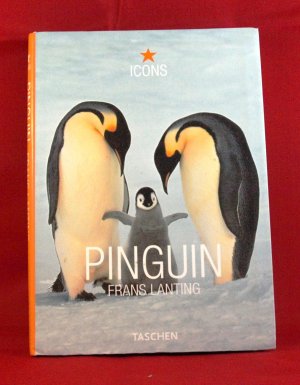 gebrauchtes Buch – Christine Eckstrom – Pinguin