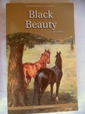 gebrauchtes Buch – Anna Sewell – Black Beauty