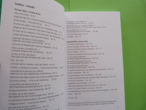 gebrauchtes Buch – Fiechtner, Urs M – Gesang für América /Canto a América. Zweisprachige Ausgabe. Deutsch-Spanisch