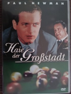 Haie der Großstadt