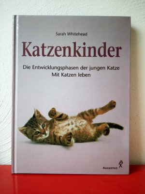 Katzenkinder