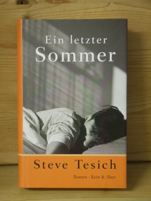 gebrauchtes Buch – Steve Tesich – "Ein letzter Sommer" Roman