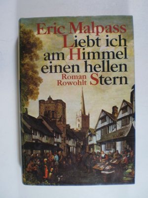 Liebt ich am Himmel einen hellen Stern. Roman