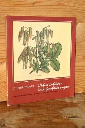 Diesem Geschöpfe leidenschaftlich zugetan. Bryophyllum calycinum, Goethes "pantheistische Pflanze"