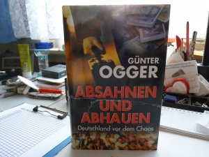 Absahnen und Abhauen - Deutschland vor dem Chaos