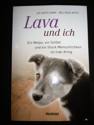 Lava und ich: Ein Welpe, ein Soldat und ein Stück Menschlichkeit im Irak-Krieg