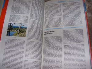 gebrauchtes Buch – Autorenkollektiv – Skandinavien