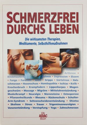 gebrauchtes Buch – Schmerzfrei durchs Leben