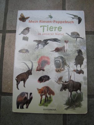 Mein Riesen-Pappebuch Tiere in unserer Natur