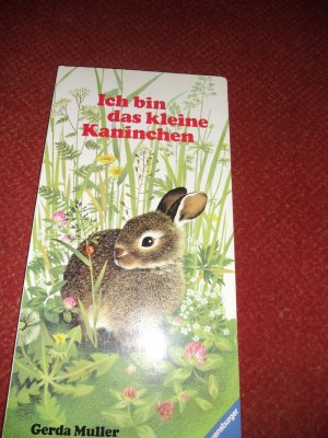 gebrauchtes Buch – Muller, Gerda; Wiencierz – Ich bin das kleine Kaninchen (Maxiformat)