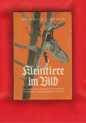 antiquarisches Buch – Heinrich Fischer – Kosmos Bändchen 140 Kleintiere im Bild antiquarisches Buch – Heinrich Fischer – Kosmos Bändchen 140 Kleintiere im Bild