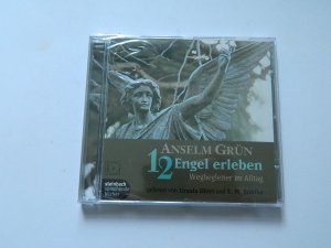 neues Hörbuch – Anselm Grün – 12 Engel erleben. CD: Wegbegleiter im Alltag (steinbach sprechende buecher)