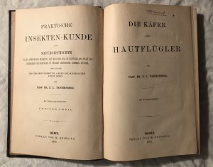 Die Käfer und Hautflügler. Praktische Insekten-Kunde 2. Theil