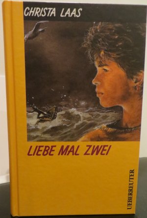 gebrauchtes Buch – Christa Laas – Liebe mal zwei