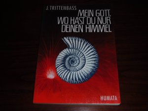 Mein Gott, wo hast du nur deinen Himmel? -Ein Versuch, den Gottbegriff auf dem Stand des heutigen Allgemeinwissens zu konkretisieren