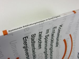 gebrauchtes Buch – Blesl, Markus; Rapp – Kommunale Entwicklungskonzepte im Spannungsfeld zwischen Stadtentwicklung und Energieversorgung