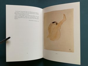 gebrauchtes Buch – Auguste Rodin – Augenblicke der Leidenschaft - Aquarellierte Zeichnungen und Texte