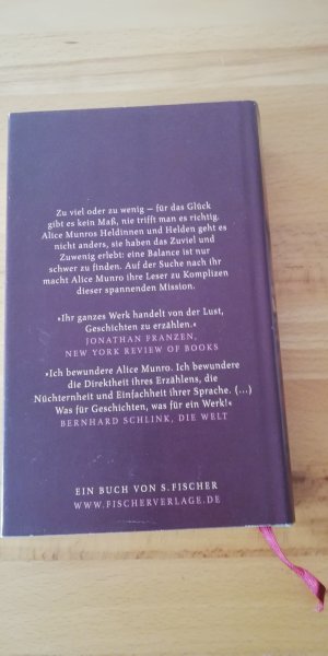 gebrauchtes Buch – Alice Munro – Zu viel Glück - Zehn Erzählungen