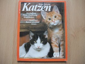 Katzen