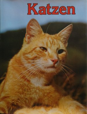 gebrauchtes Buch – Coffey, David J – Katzen.