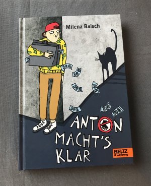 gebrauchtes Buch – Milena Baisch – Anton macht's klar   (K.22)