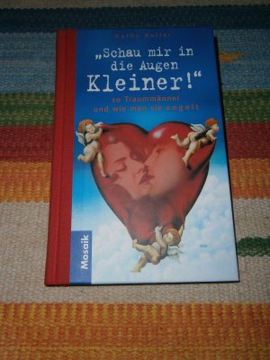 Schau mir in die Augen, Kleiner. 10 Traummänner und wie man sie angelt