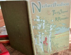 antiquarisches Buch – Karl Kraepelin – Naturstudien. Ein Buch für die Jugend