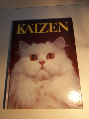 Katzen