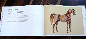 gebrauchtes Buch – Carl Heinz Dömken – Stammpferde der Araberzucht Band II. Foundation Arabian Breeding Horses  Volume II.