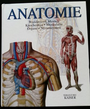 Anatomie - Wunderwerk Menschen - Knochenbau, Muskulatur, Organe, Nervensystem