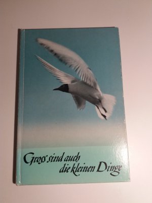 gebrauchtes Buch – Hans Walter – Groß sind auch die kleinen Dinge