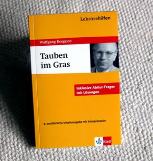 gebrauchtes Buch – Reisner, H.-P – Wolfgang Koeppen,  "Tauben im Gras" (Klett Lektürehilfen)