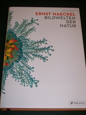 gebrauchtes Buch – Olaf Breidbach – Ernst Haeckel - Bildwelten der Natur