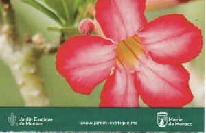 gebrauchtes Buch – Eintrittskarte: Jardin Exotique de Monaco (Exotischer Garten von Monaco)