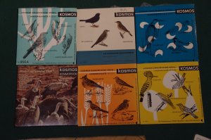 Schallplatten mit Vogelstimmen , siehe Fotos!