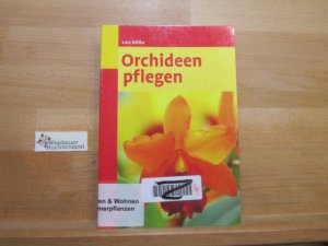 gebrauchtes Buch – Lutz Röllke – Orchideen pflegen.