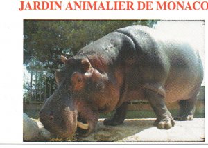 gebrauchtes Buch – Eintrittskarte: Jardin Animalier de Monaco (Zoologischer Garten von Monaco)