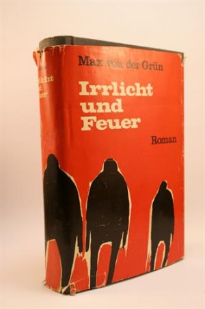 Irrlicht und Feuer. Roman