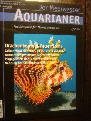 gebrauchtes Buch – Zeitschrift Aquarianer – Drachenköpfe & Feuerfische   3/2009