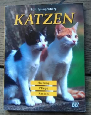 Katzen