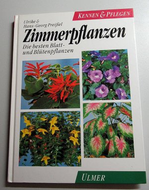 Zimmerpflanzen