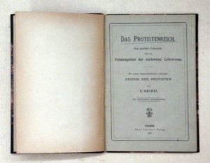 Das Protistenreich. Eine populäre Uebersicht über das Formengebiet der niedersten Lebewesen. Mit einem wissenschaftlichen Anhange: System der PRotisten.