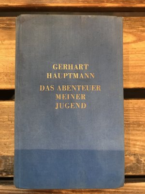 Das Abenteuer meiner Jugend 1