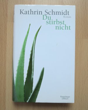 gebrauchtes Buch – Kathrin Schmidt – Du stirbst nicht