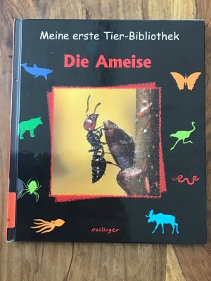 gebrauchtes Buch – Gomel, Luc; Aman – Die Ameise