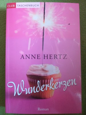 gebrauchtes Buch – Anne Hertz – Wunderkerzen