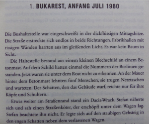 gebrauchtes Buch – Andrei Mihailescu – Guter Mann im Mittelfeld