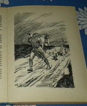 antiquarisches Buch – Petersen , Georg Paysen – Till Eulenspiegels lustige Streiche. für die Jugend neu bearb. von Georg Paysen Petersen. Mit 4 voll- und 15 Textbildern von E. Liebenauer